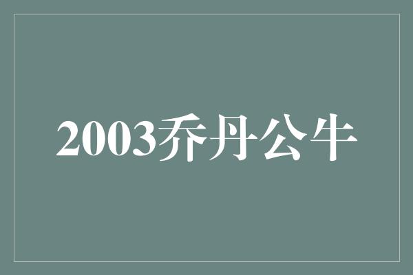 2003乔丹公牛
